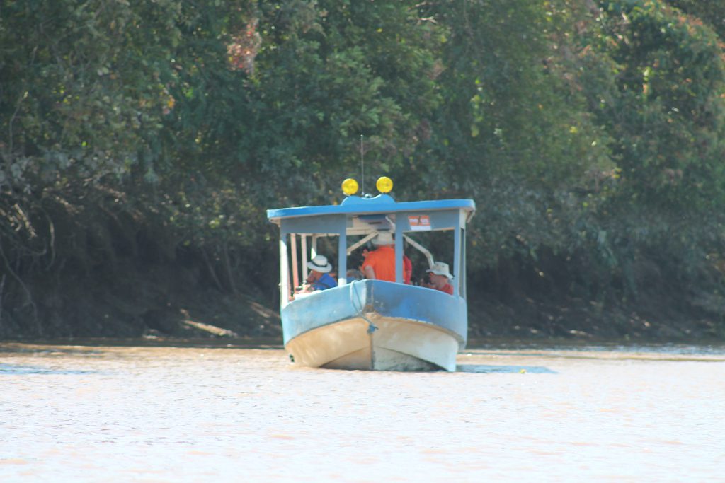 Palo Verde Boat Tour
